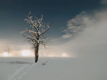Bare tree on snow covered landscape against sky