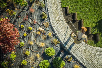 High angle view of old tree by building