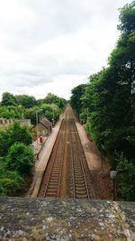 Railroad tracks amidst trees against sky