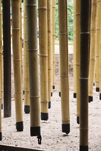 Close-up of bamboo structure