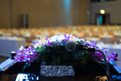 Close-up of purple flower on table