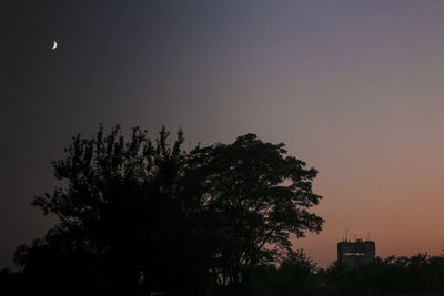 Silhouette tree against sky at night