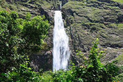 View of waterfall in forest