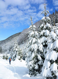 Rear view of backpack woman skiing at snowcapped mountain during winter