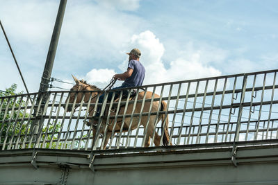 Low angle view of man on railing against sky