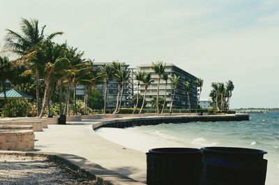 Palm trees by built structure against sky