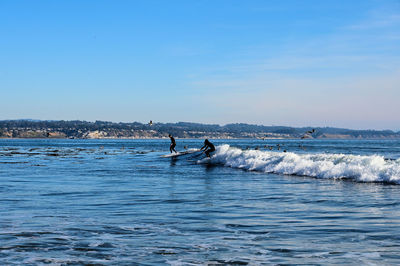 Scenic view of sea against clear sky