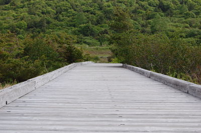 Footbridge in forest