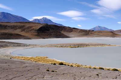 Laguna honda bolivia - altiplano
