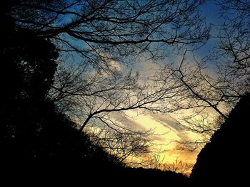 Silhouette bare trees on field at sunset