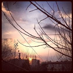 Low angle view of bare trees against sky at sunset