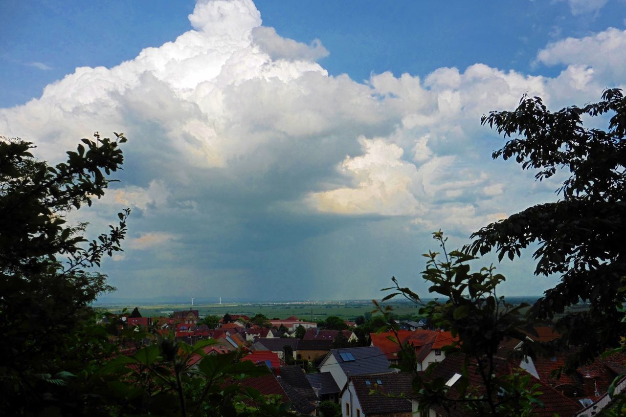 sky, flower, cloud - sky, tree, growth, cloud, beauty in nature, nature, cloudy, plant, building exterior, built structure, tranquil scene, scenics, tranquility, house, day, architecture, blue, outdoors