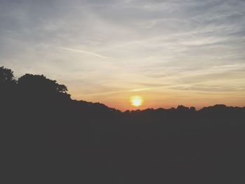 Silhouette of trees at sunset