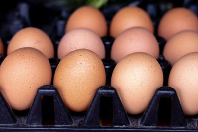 Chicken eggs in an egg board