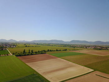 Scenic view of field against clear sky