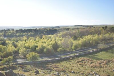 Scenic view of landscape against clear sky