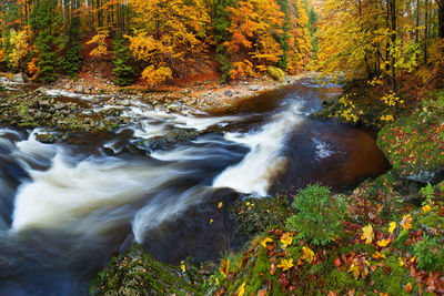 Stream flowing through rocks in forest