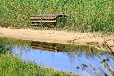 Scenic view of field by lake