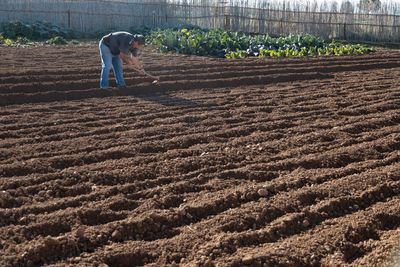 Full length of man working at farm