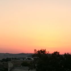 Silhouette trees against orange sky