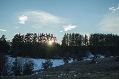 Scenic view of river in forest against sky during winter