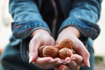 Female hands holding walnuts. woman has nuts on shell. healthy diet. autumn harvest. 
