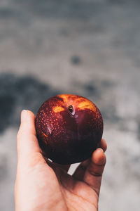 Close-up of hand holding apple