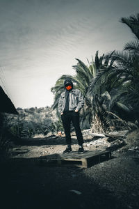 Rear view of man standing by palm tree against sky