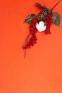 Close-up of red berries against orange background