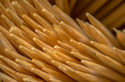 Full frame shot of toothpicks