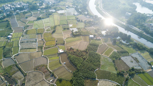 High angle view of agricultural field