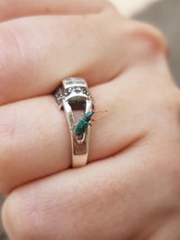 Close-up of insect on ring