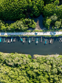 Directly above shot of outrigger canoes moored at pier