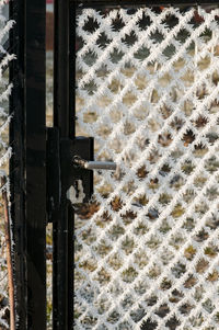 Close-up of metal gate against building during winter