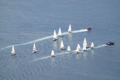 High angle view of sailboats sailing on sea