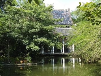 Trees by lake against building