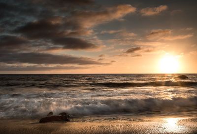 Scenic view of sea against sky during sunset