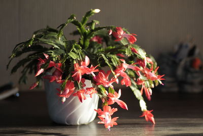 Close-up of red flower vase on table
