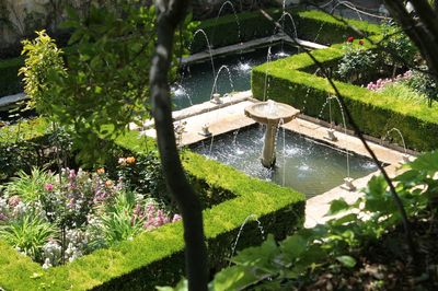 View of fountain in garden