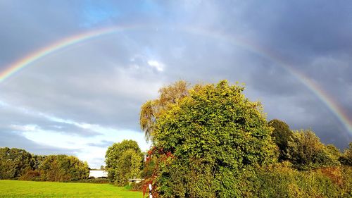 Rainbow over trees on field against sky