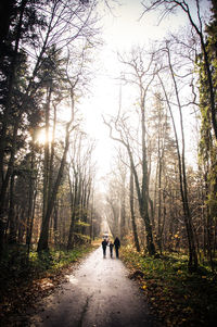 People walking on footpath in forest