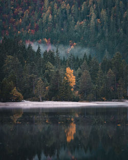 Reflection of trees in lake during autumn