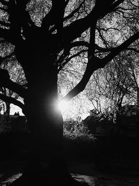 Low angle view of bare trees against sky