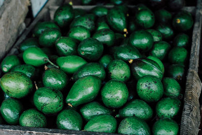 High angle view of green beans in market