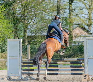 Man riding horse