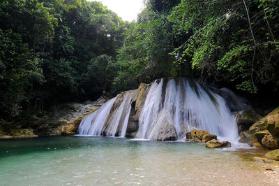 Scenic view of waterfall in forest