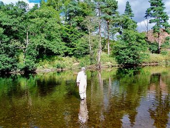 Rear view of person by lake against trees