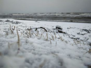 Close-up of snow covered land