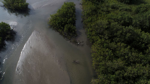 High angle view of trees by river against sky