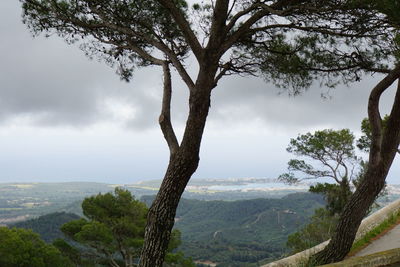 Scenic view of tree mountains against sky